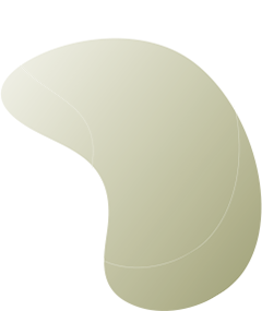 Forma astratta a forma di fagiolo in verde oliva chiaro con linee morbide e curve su sfondo bianco. Ricorda il design dentale minimalista, ideale per immagini di faccette per denti o per promuovere i dentisti a Firenze. Le sfumature morbide creano un aspetto organico.